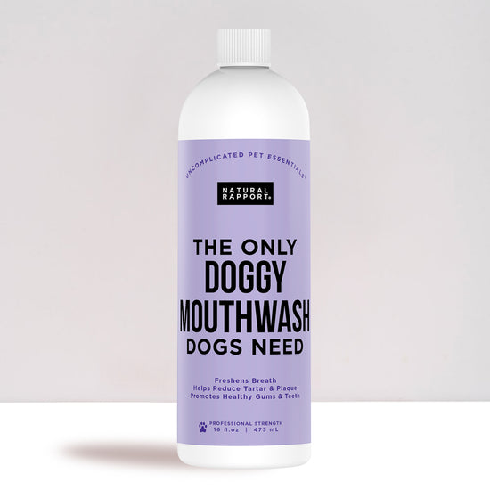 Daily Dog Mouthwash By Natural Rapport
